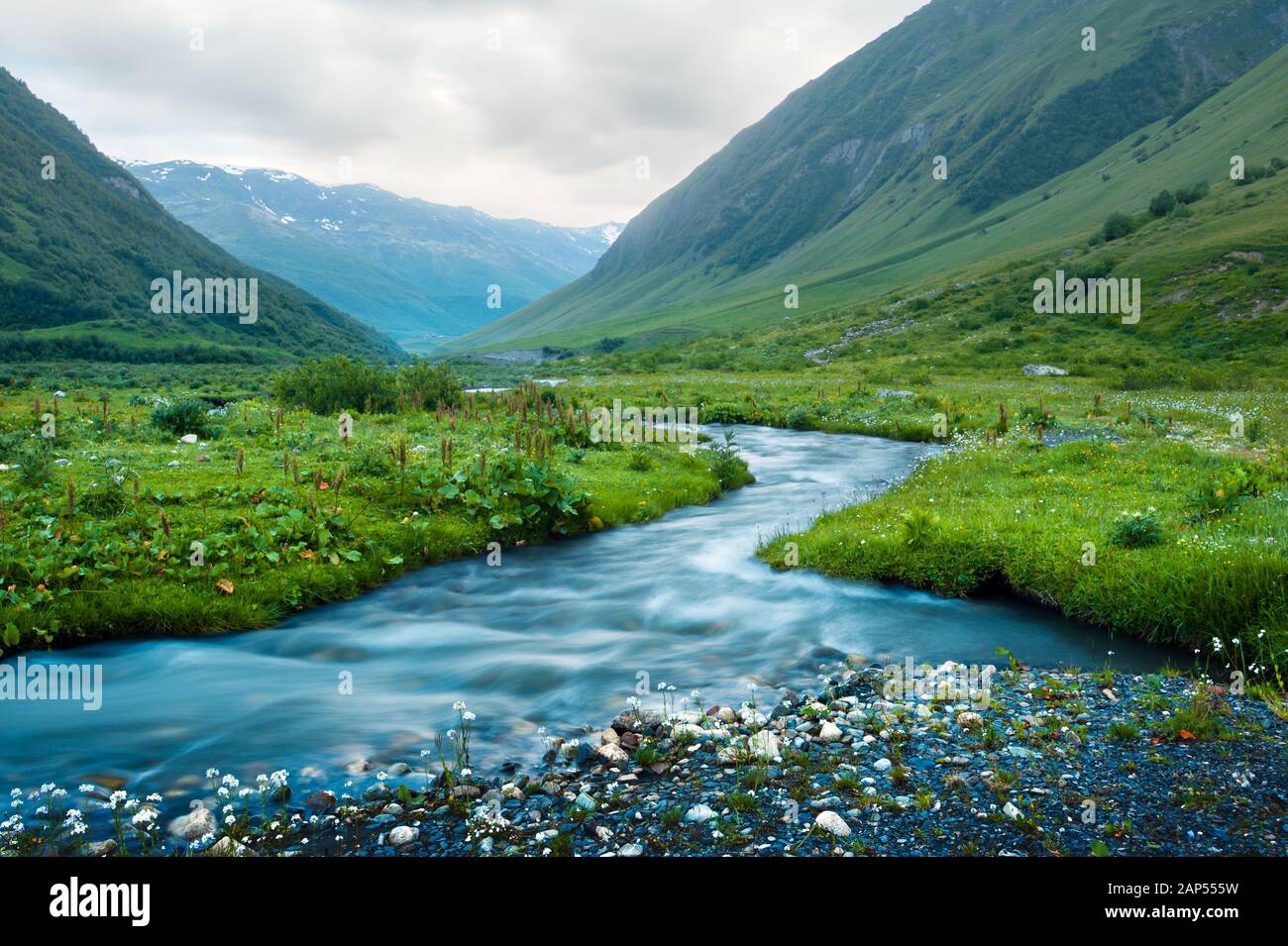 Amazing landscape with river and green grass in spring Caucasus mountains Stock Photo