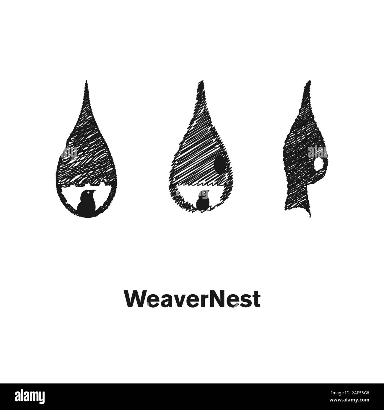 Weave Nest Logo Design Template Vector Illustration Stock Vector