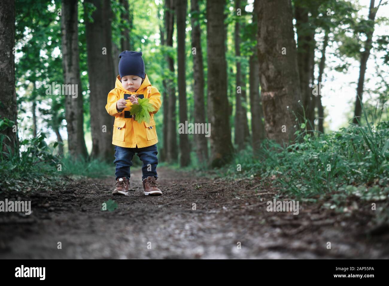 Small boy in yellow jacket in summer park Stock Photo