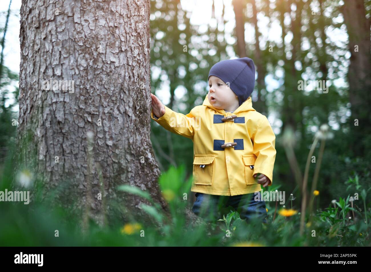 Kid in yellow jacket in forest near big tree Stock Photo