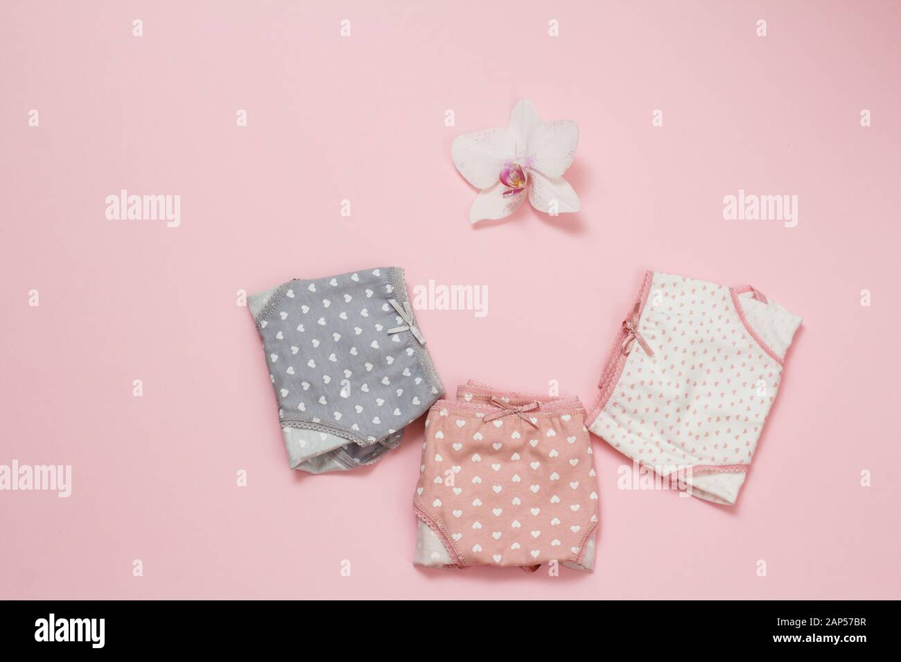 Folded cotton panties of different color with orchid bud on pink background. Woman underwear set. Top view. Stock Photo