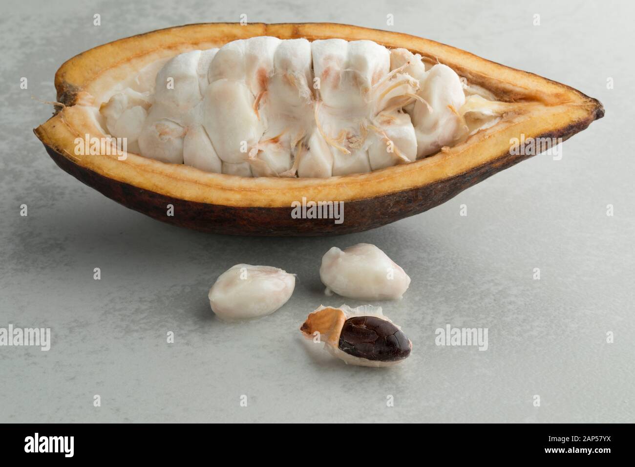 Fresh halved cocoa fruit with raw cocoa beans visible Stock Photo