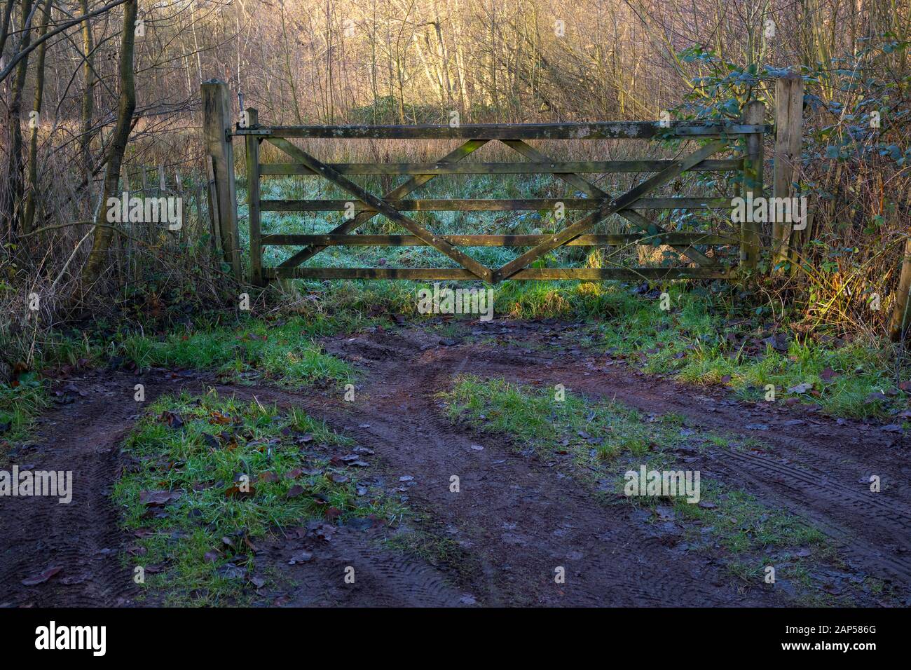 Winter landscape fence hi-res stock photography and images - Alamy