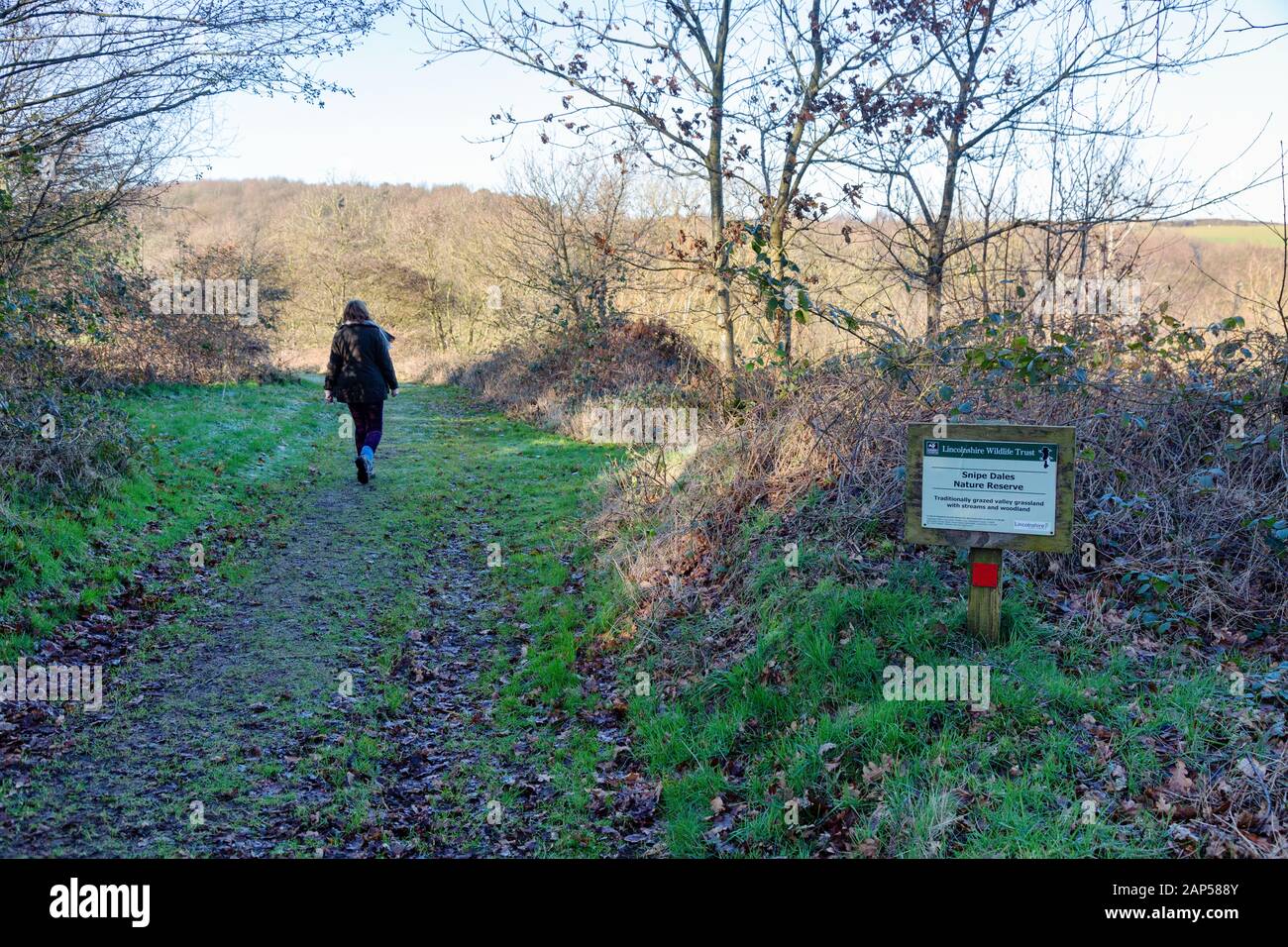 A woman walking in Snipe Dales Nature Reserve, Snipe Dales ...