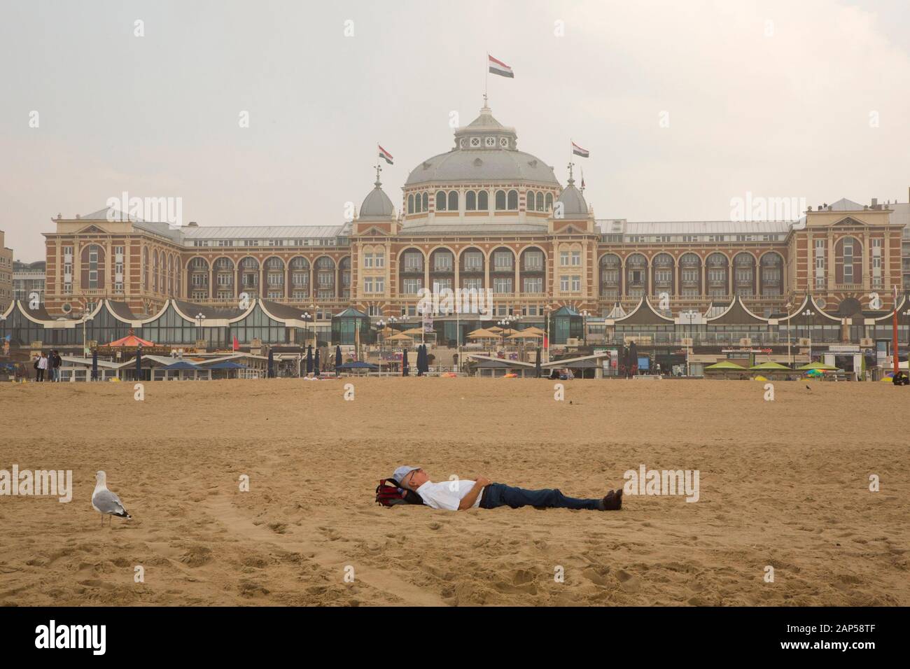 THE HAGUE HOLLAND Stock Photo - Alamy