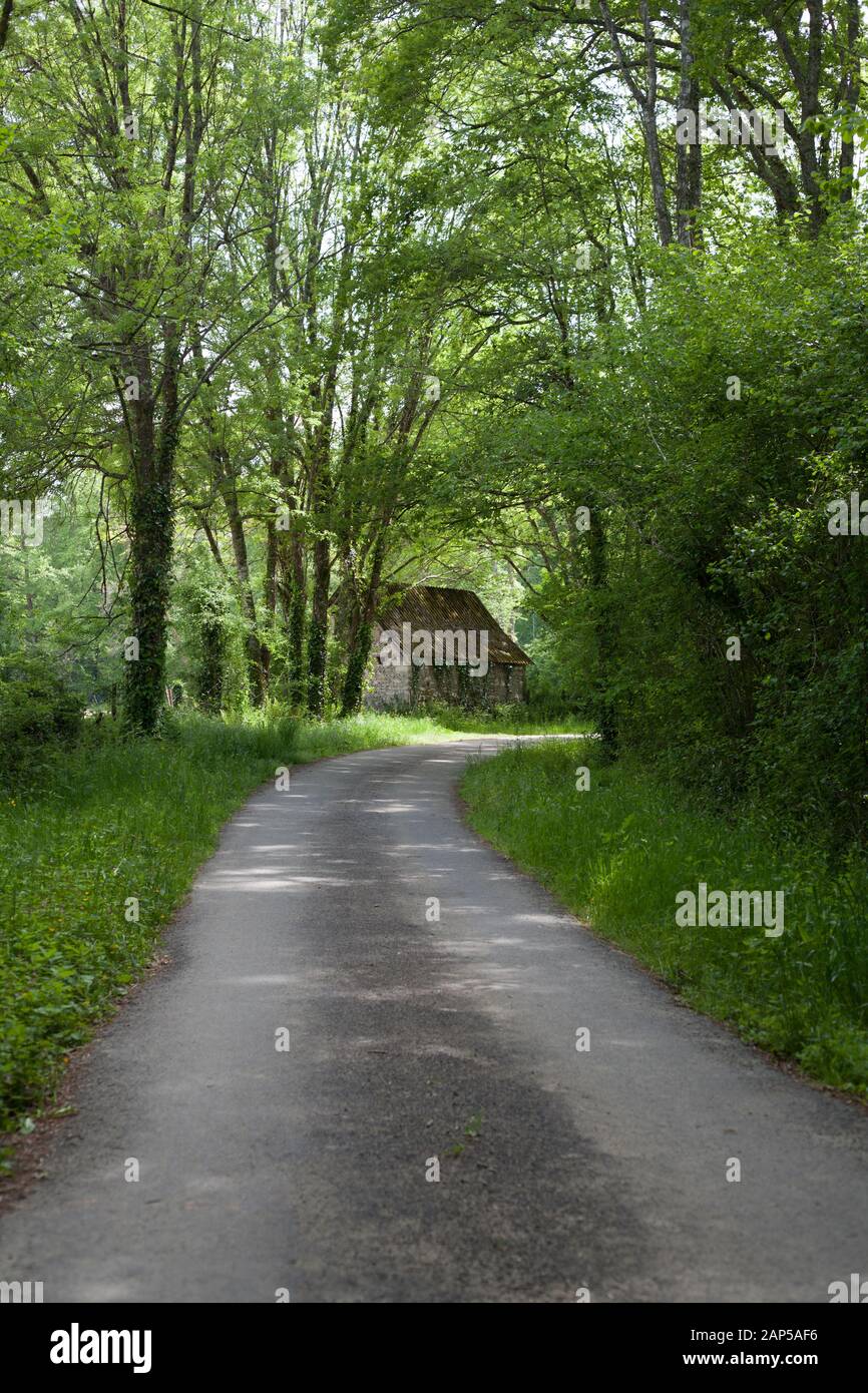 Country path in the wooded area of Pardies Pietat, Pyrénées Atlantiques, Nouvelle Aquitaine, France Stock Photo