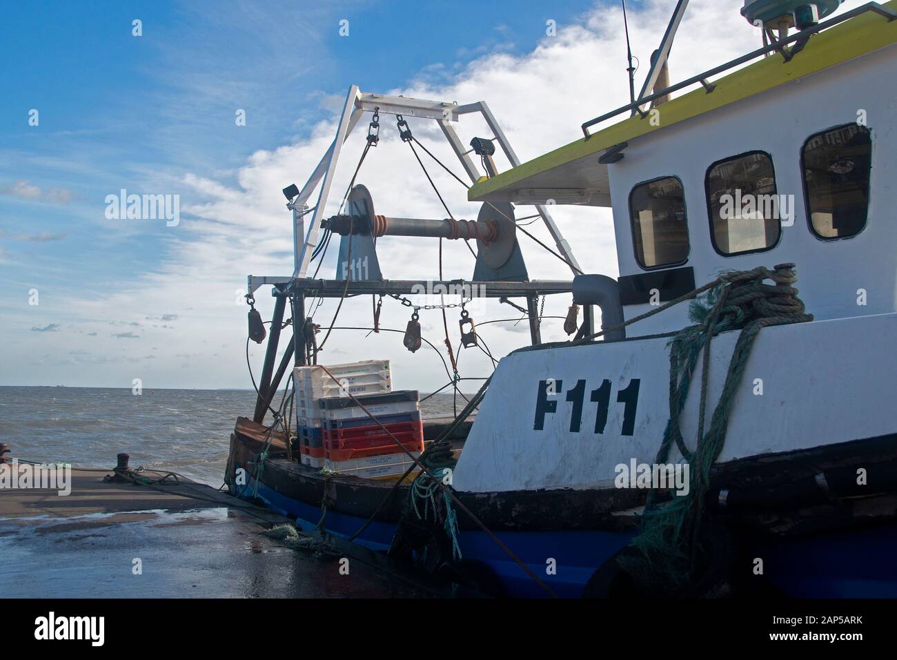 Flag shaggers hires stock photography and images Alamy
