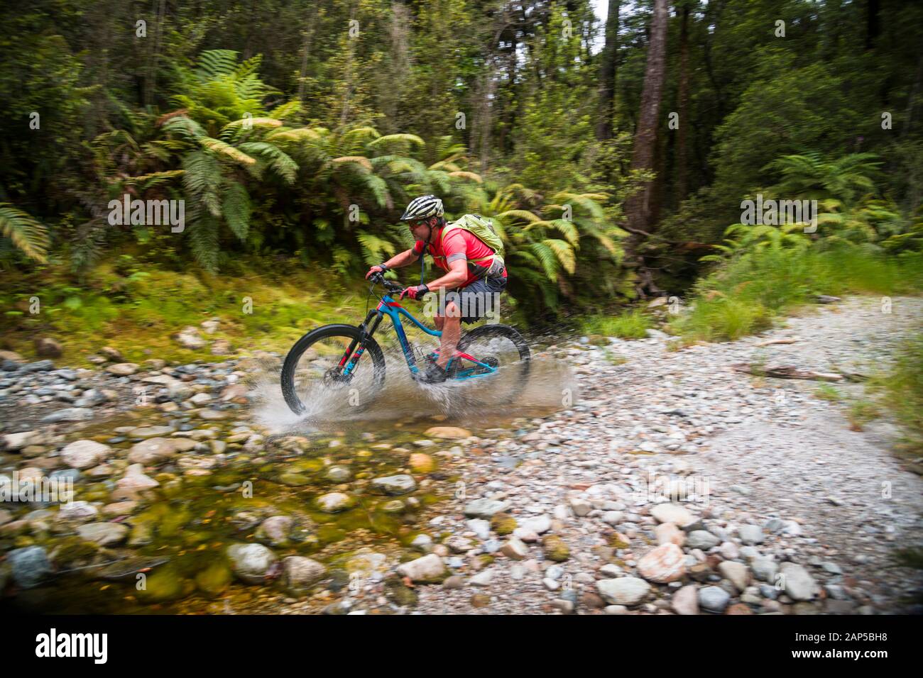Mountain bike rider crossing a creek/river bed Stock Photo Alamy