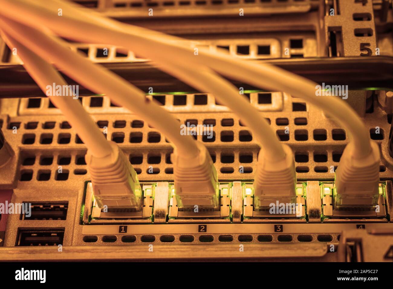 Network equipment is in the server room. Four internet twisted pair wires are connected to the router interfaces. Stock Photo