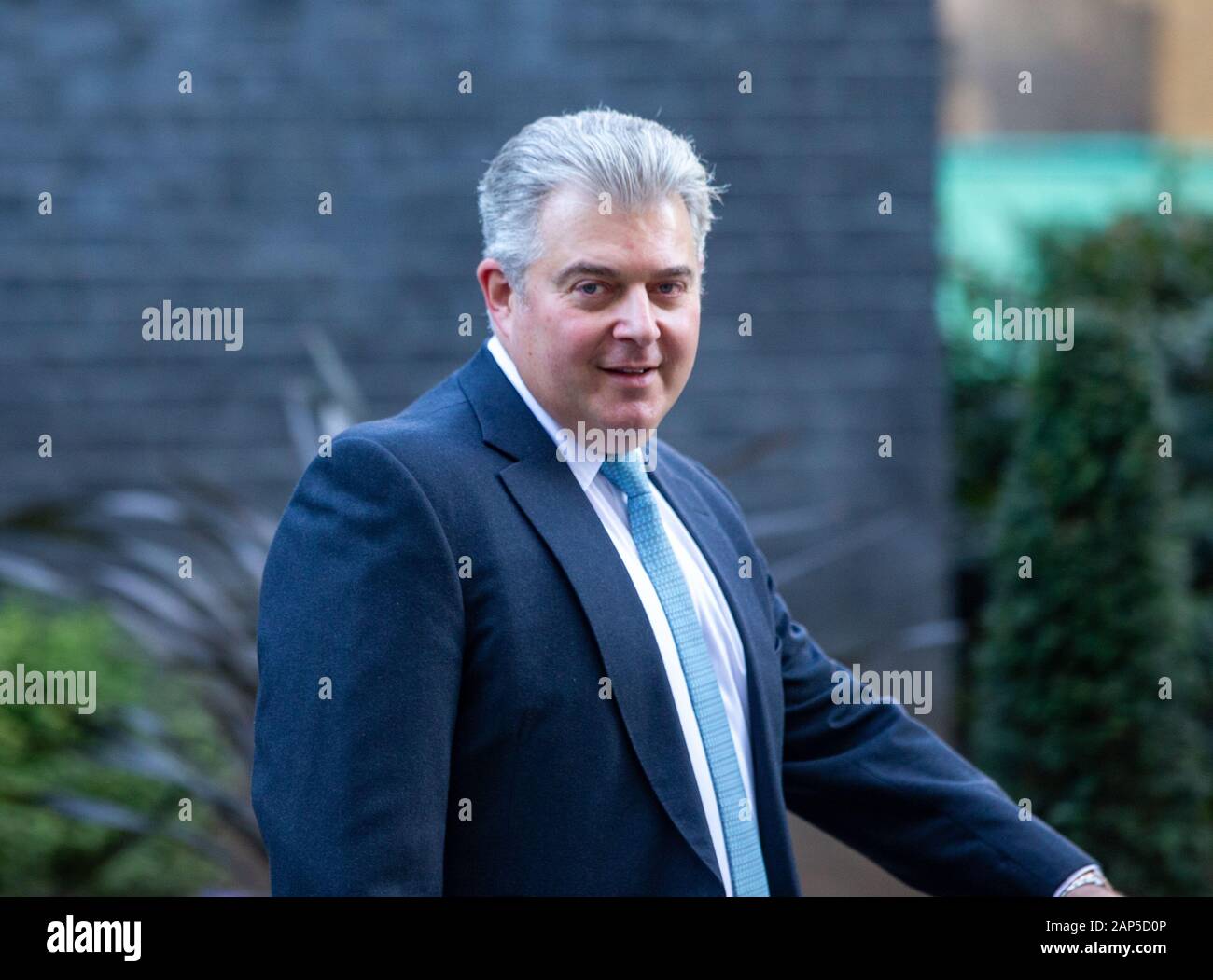 London, UK. 21st Jan, 2020. Brandon Lewis, Minister of State for Security and Deputy for EU Exit and No Deal Preparation, at Downing street for a meeting Credit: Tommy London/Alamy Live News Stock Photo