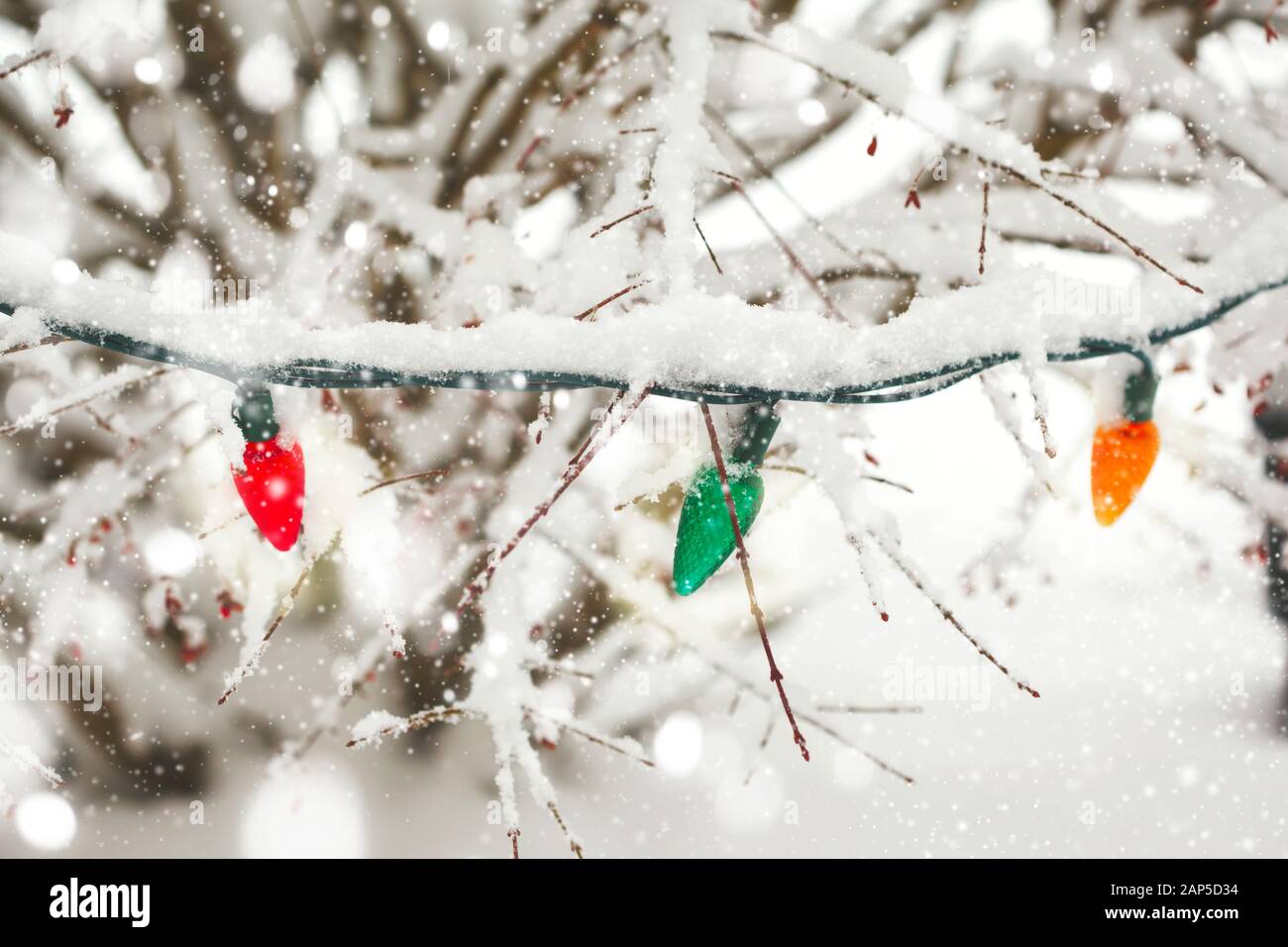 Street light on tree hi-res stock photography and images - Alamy