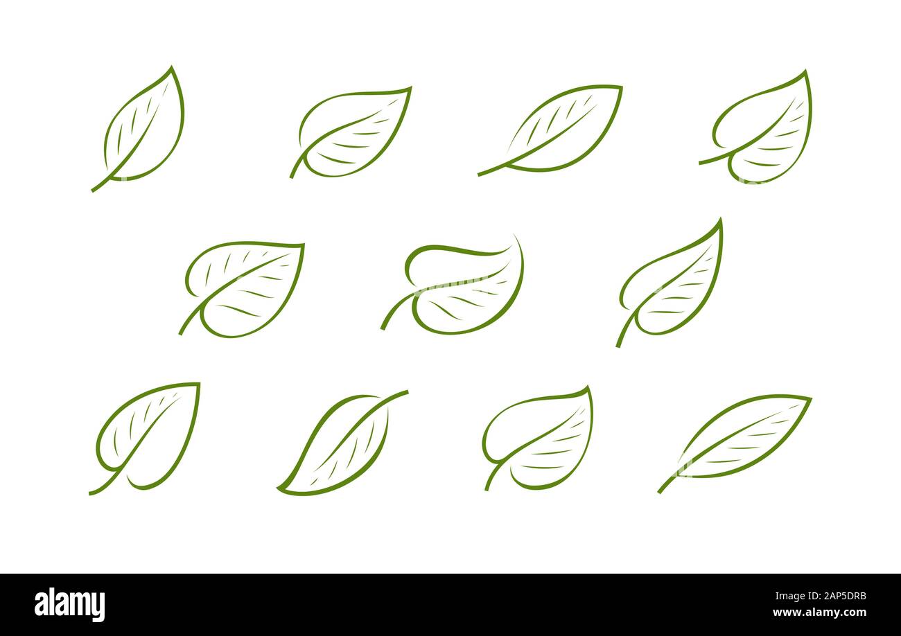 Natural green leaf logo. Nature, ecology icon or symbol vector Stock Vector