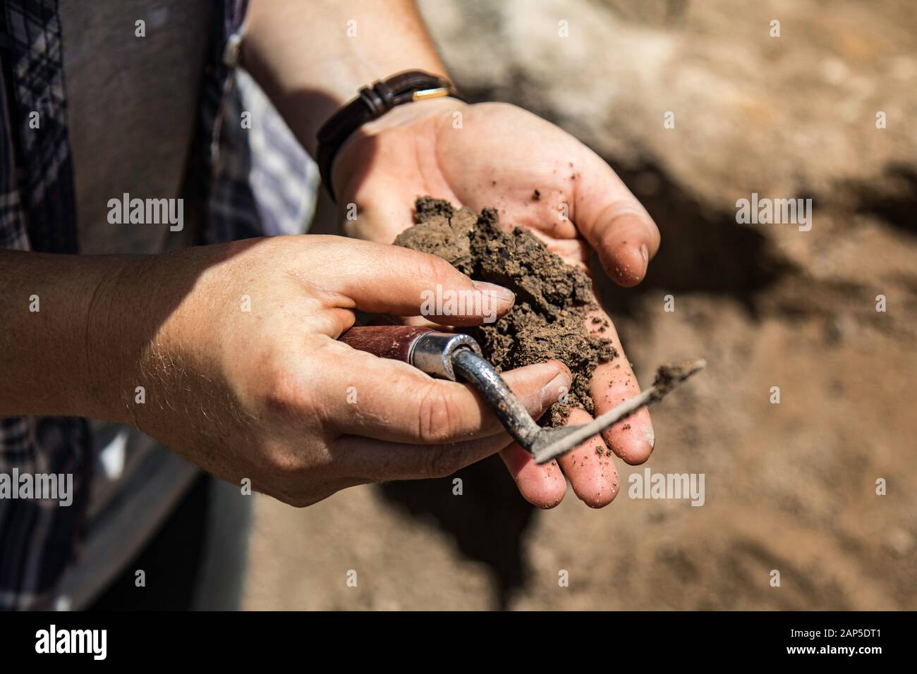 Archaeologist excavating examining the soil Stock Photo Alamy