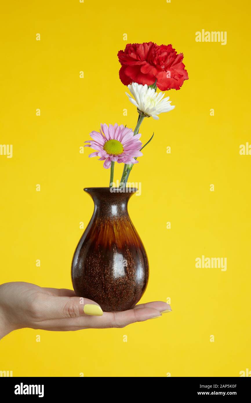 vase of flowers in hand Stock Photo