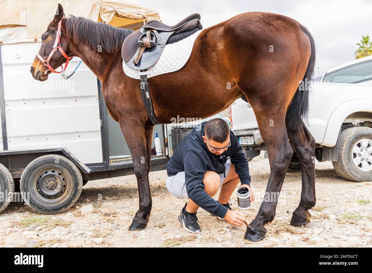 Riders preparing their mounts, painting the horses hooves black, for the San Sebastian fiesta.  Every year the animals are taken here on the saints da Stock Photo
