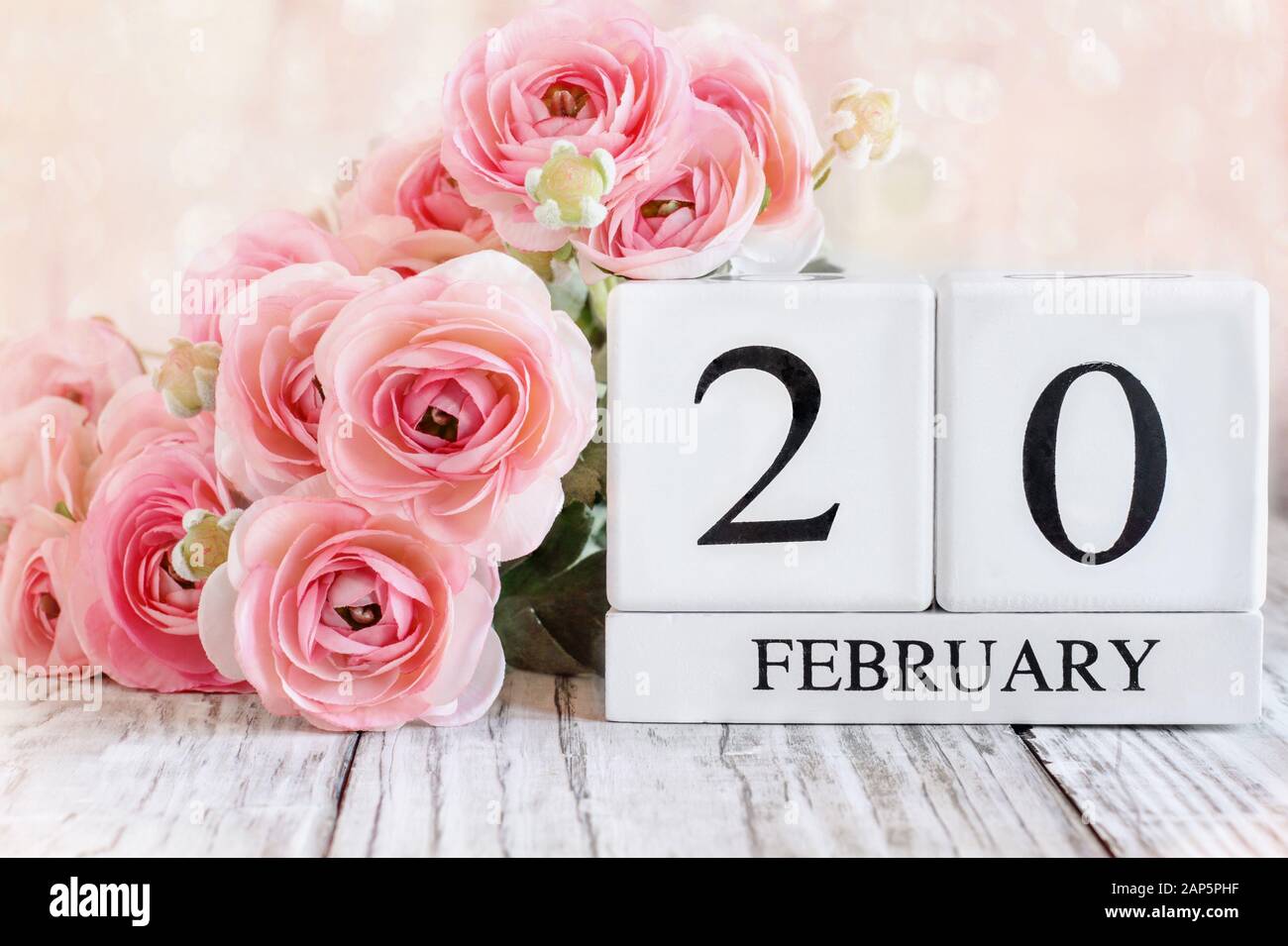 White wood calendar blocks with the date February 20th and pink ranunculus flowers over a wooden table. Selective focus with blurred background. Stock Photo