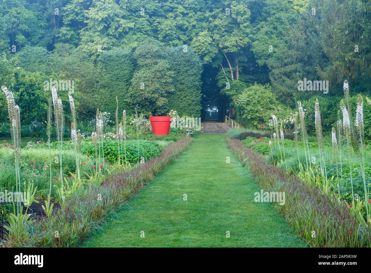 France, Indre et Loire, Loire Anjou Touraine Regional Natural Park, Lemere, Chateau du Rivau gardens, the Allee des Fees with Imperata cylindrica 'Red Stock Photo