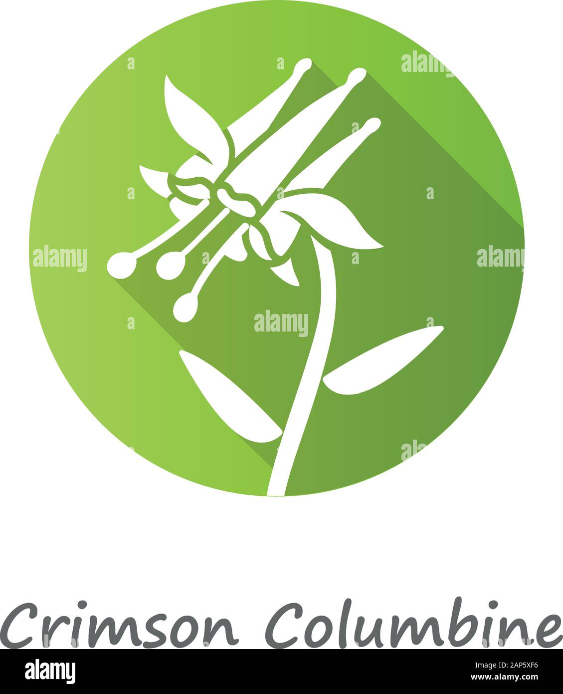 Crimson columbine green flat design long shadow glyph icon. Aquilegia formosa inflorescence. Blooming wildflower. Spring blossom. Red columbine. Wild Stock Vector