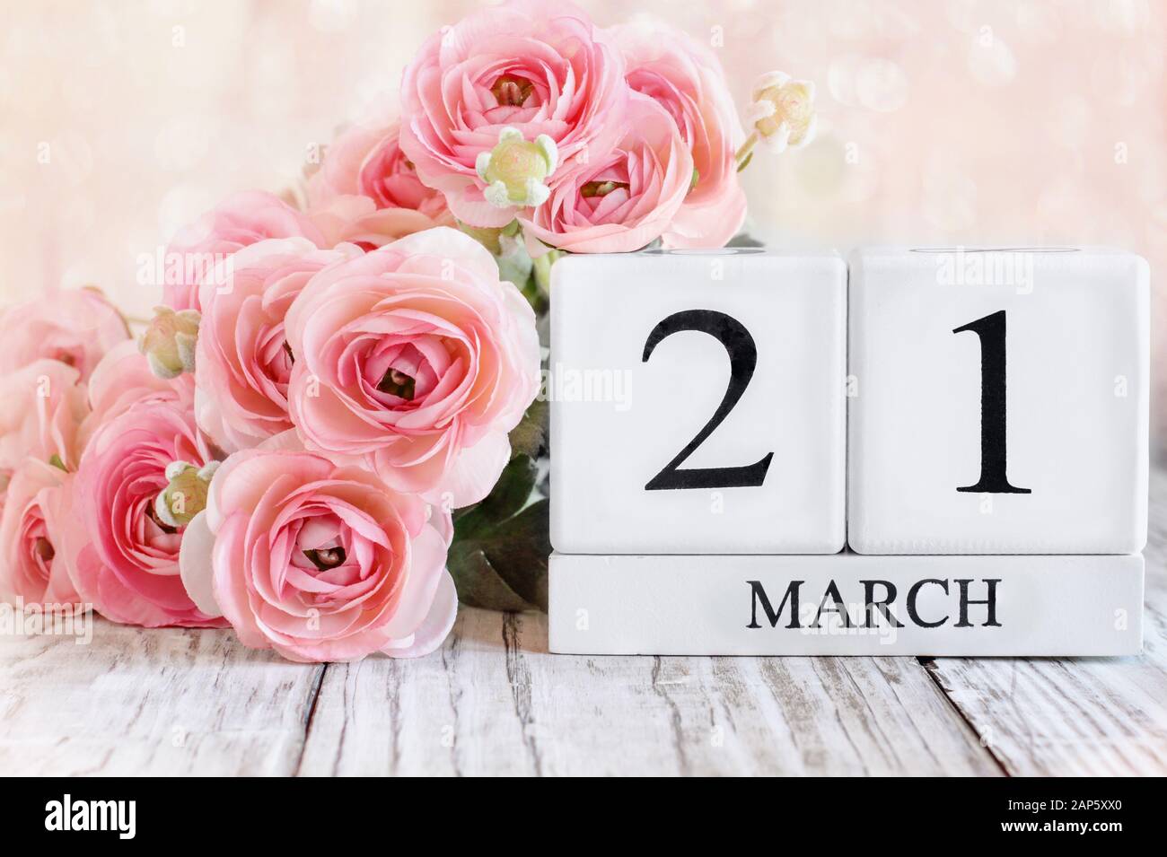 White wood calendar blocks with the date March 21st and pink ranunculus flowers over a wooden table. Selective focus with blurred background. Stock Photo