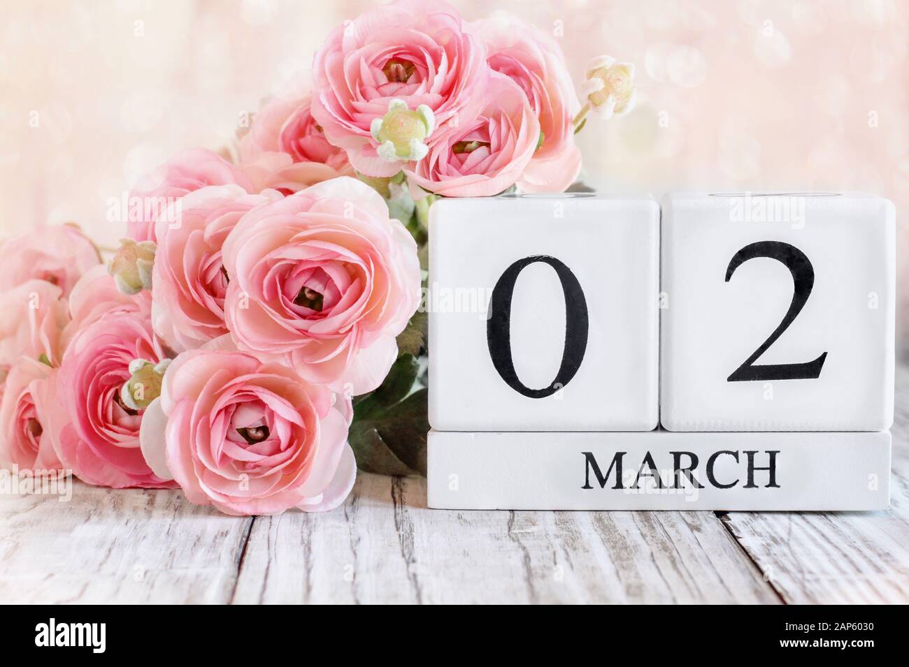 White wood calendar blocks with the date March 02 and pink ranunculus flowers over a wooden table. Selective focus with blurred background. Stock Photo