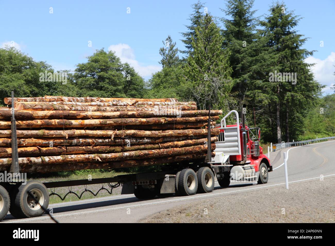 Truck with harvested trees Clear cut logging Olympic Peninsula Stock