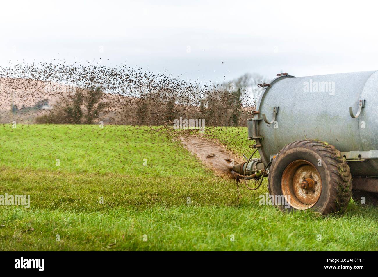 Ballydehob, West Cork, Ireland. 21st Jan, 2020. A Ballydehob based