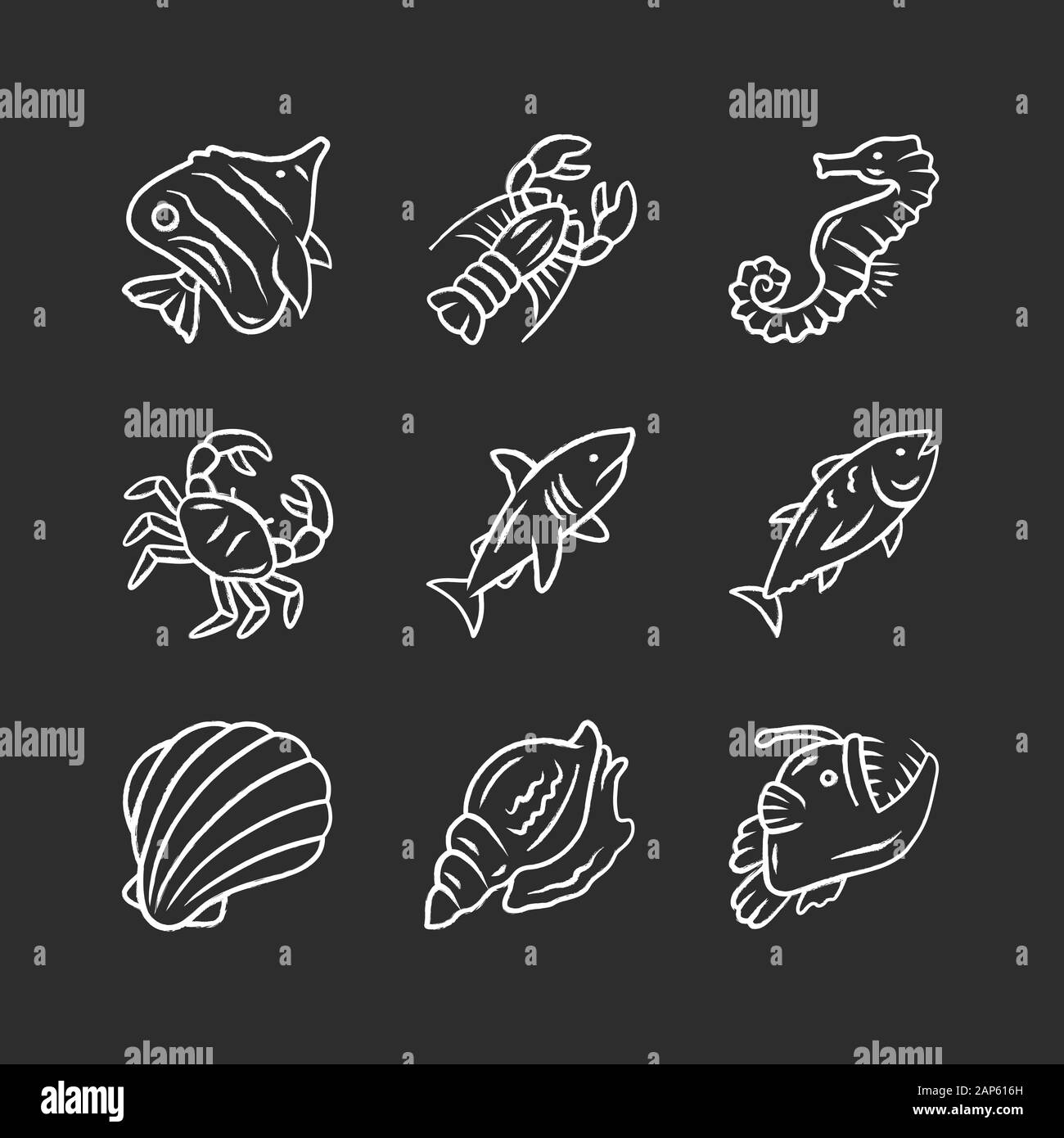 Marine animals chalk icons set. Swimming shark, anglerfish