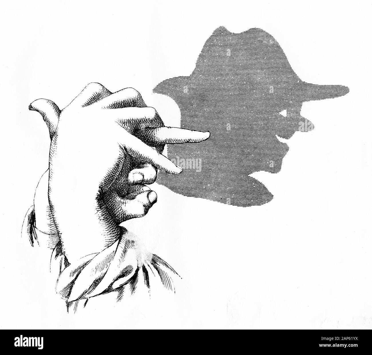 Shadow art 2024 with hands