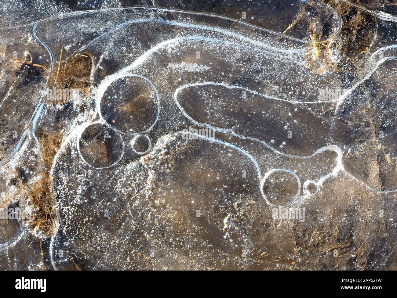 Ice abstract pattern in puddle Stock Photo