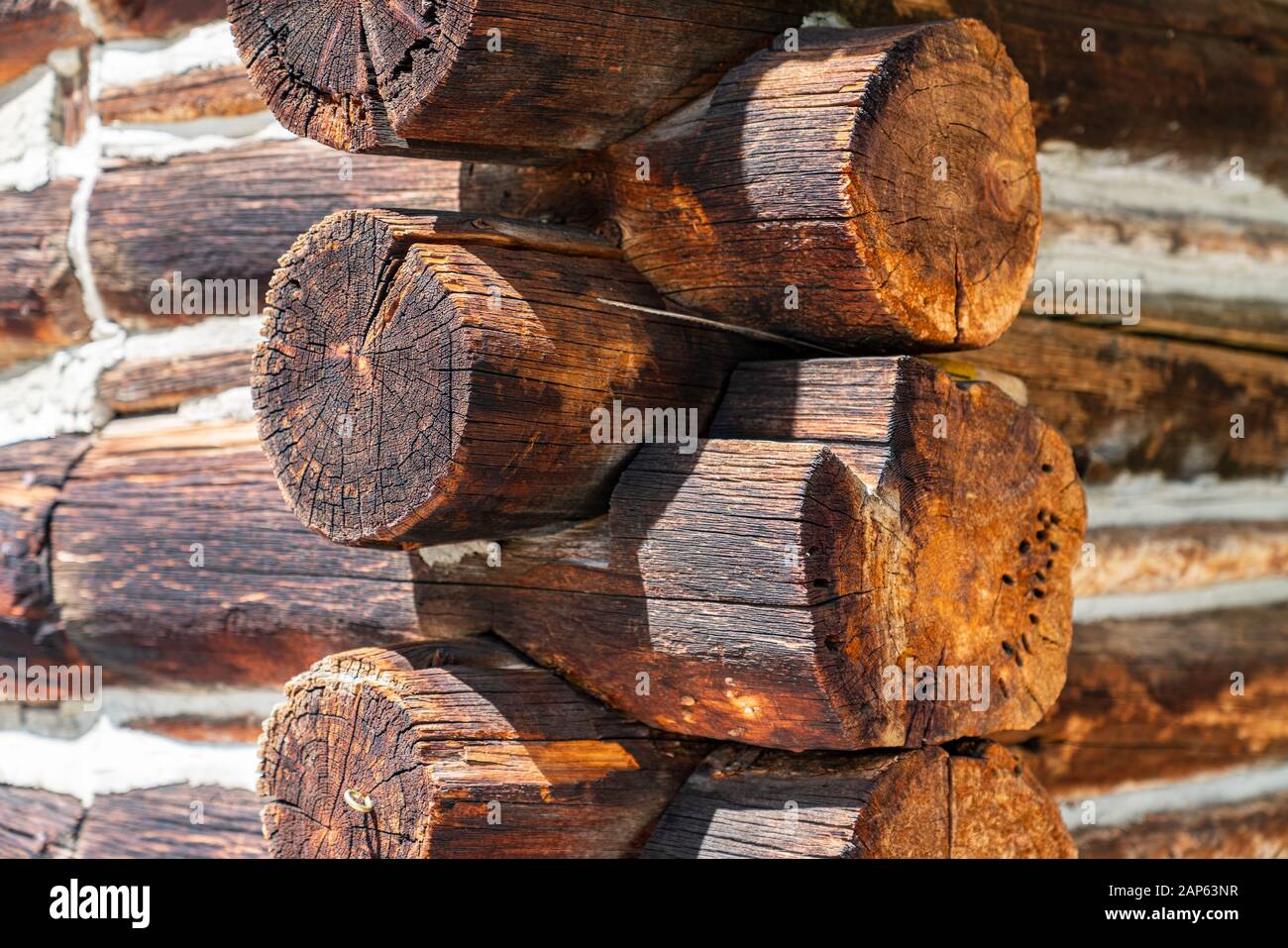Log Cabin In Rocky Mountain National Park Colorado Stock Photo