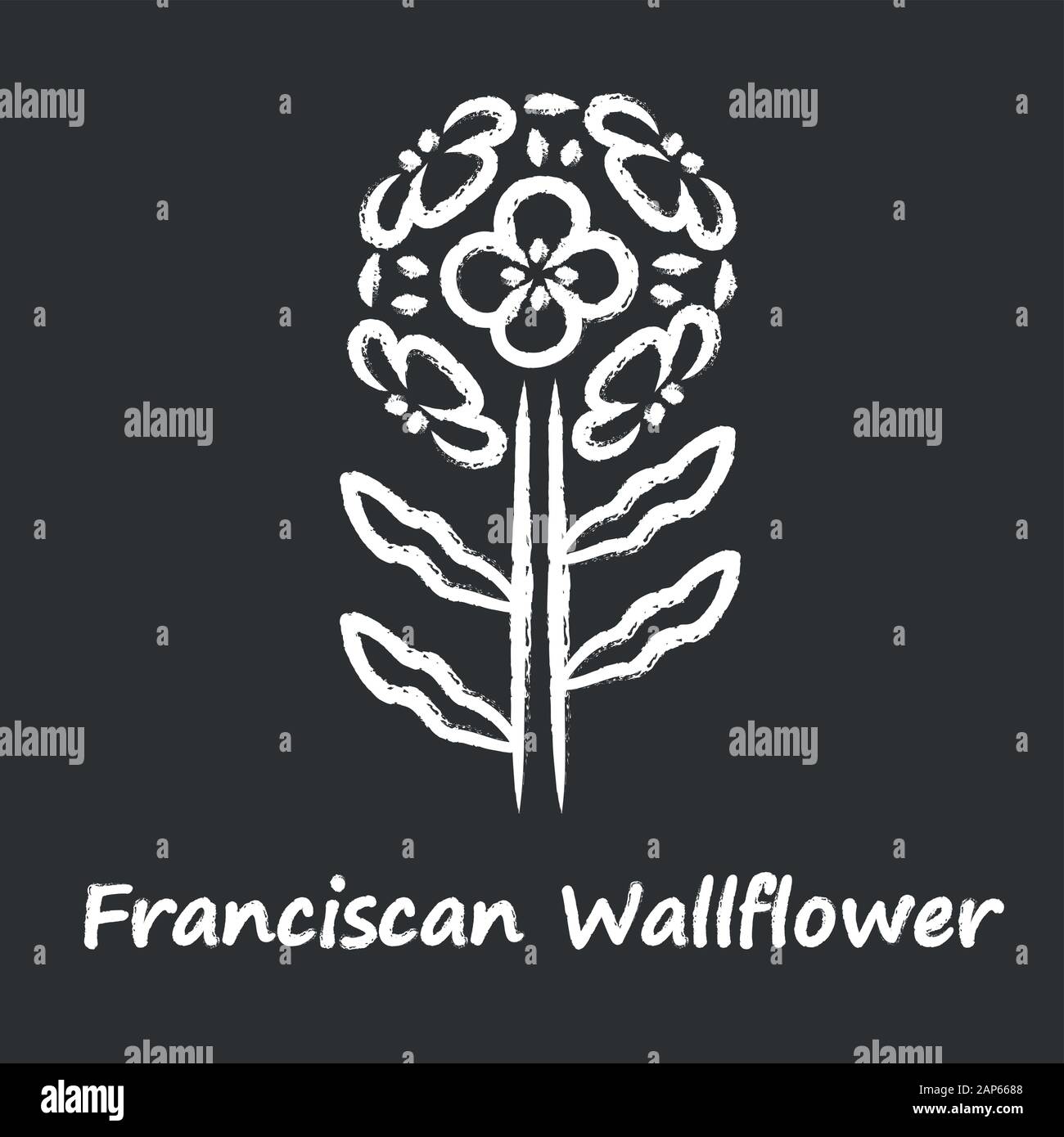 Franciscan wallflower chalk icon. Garden flowering plant with name inscription. Erysimum franciscanum inflorescence. Blooming wildflower, weed. Spring Stock Vector