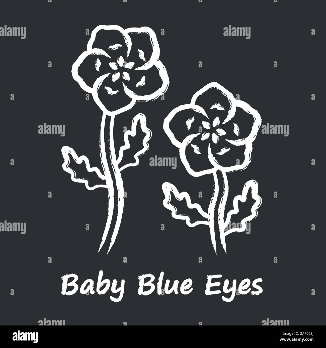 Baby blue eyes chalk icon. Linen blooming flower with name inscription. Nemophila menziesii garden plant. Blue flax inflorescence. Wildflower blossom. Stock Vector