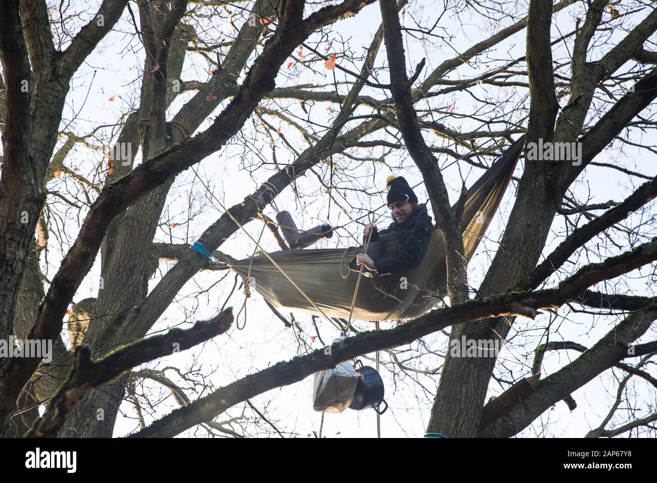 Harefield, UK. 21 January, 2020. An activist lying in a hammock suspended high up in a tree at the Save the Colne Valley wildlife protection camp hauls up a pot of breakfast porridge. Activists seeking to protect ancient woodland threatened by the HS2 high-speed rail link continue to occupy both the roadside and woodland sites of the camp having retaken it from bailiffs acting on behalf of HS2 on 18th January. 108 ancient woodlands are set to be destroyed by HS2. Credit: Mark Kerrison/Alamy Live News Stock Photo