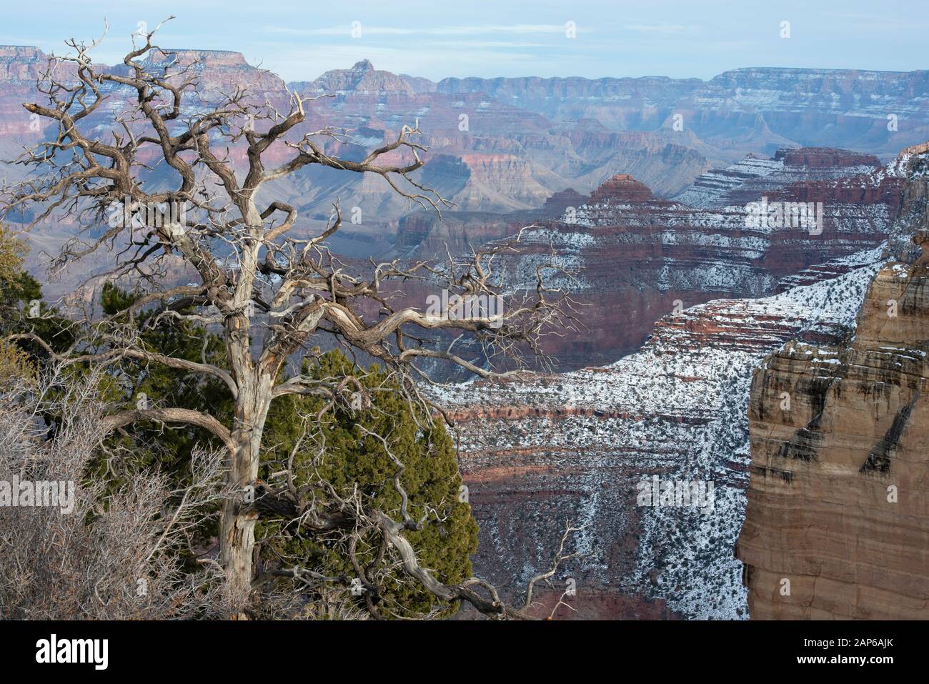 Powell Point, Grand Canyon National Park, Arizona, USA Stock Photo Alamy