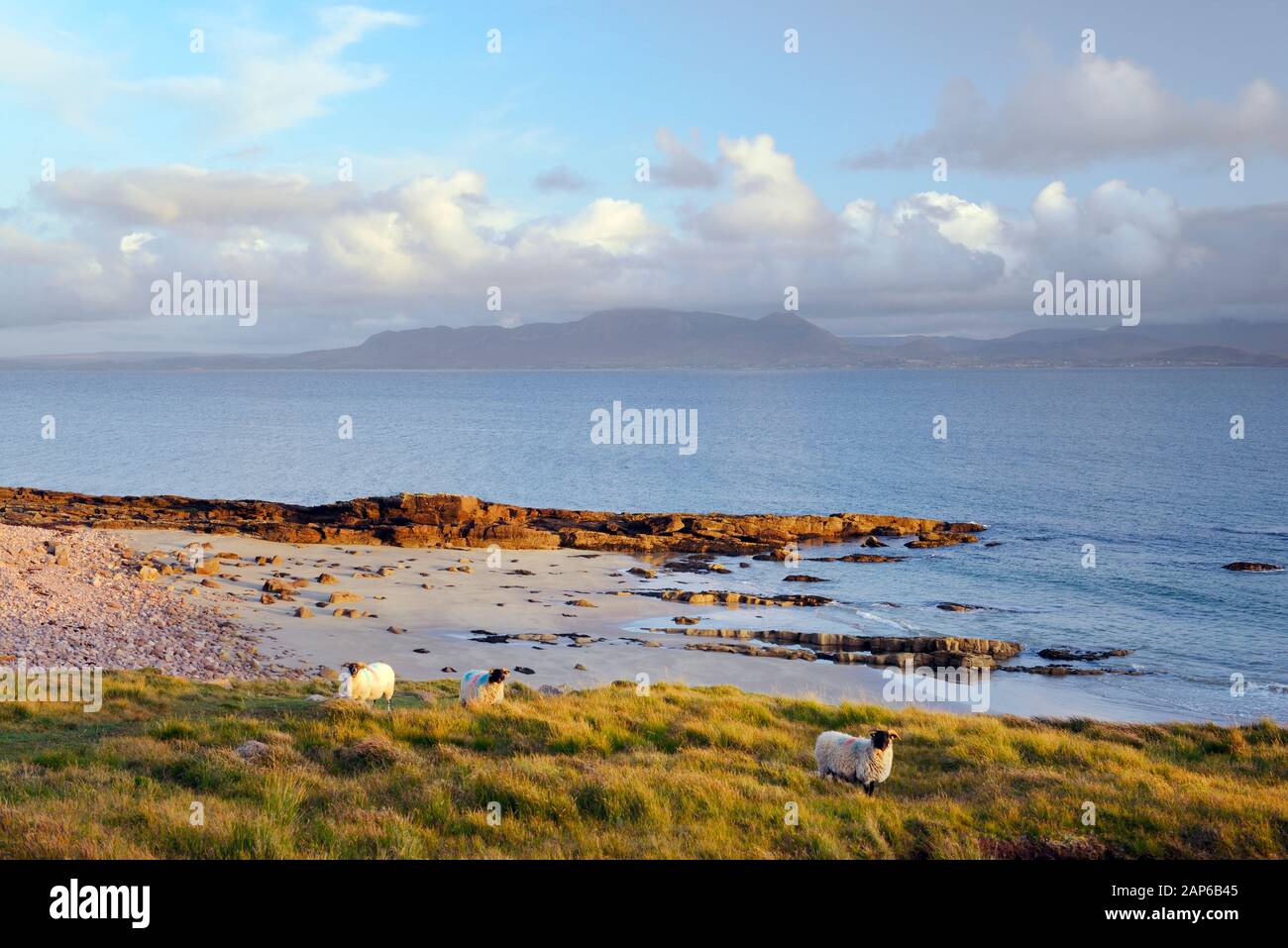 Clew Bay. South East from the north coast of Clew Bay to Croagh Patrick sacred mountain in County Mayo, Connacht, Ireland Stock Photo