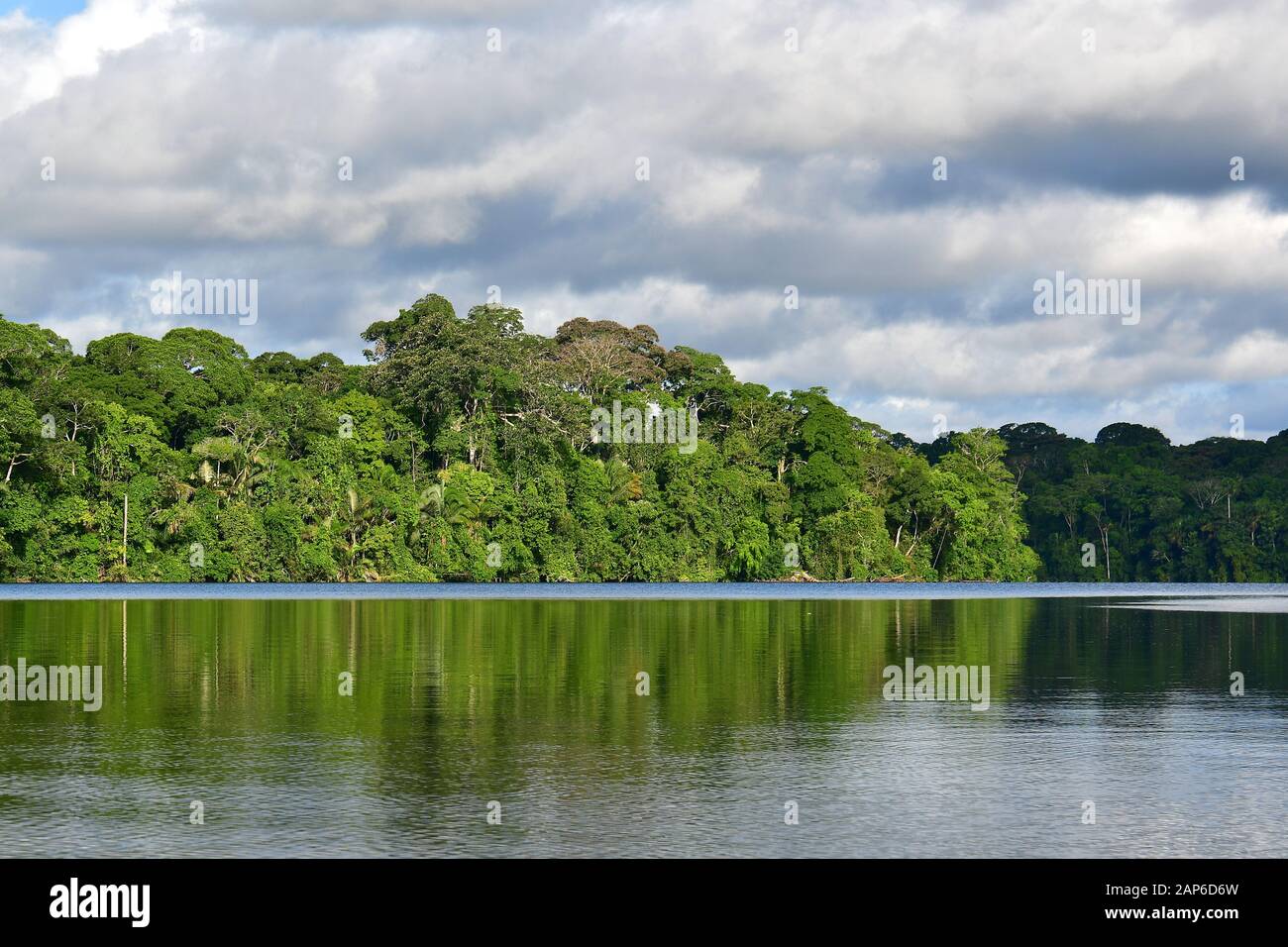 Lake Sandoval, Tambopata National Reserve, Peru, South America Stock Photo