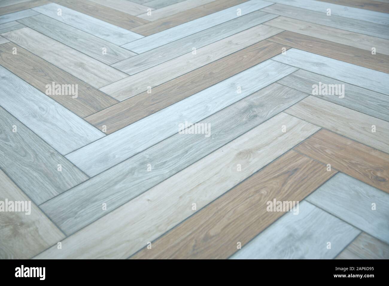 Fragment Of Parquet Floor Hardwood New Oak Parquet Floor Covered