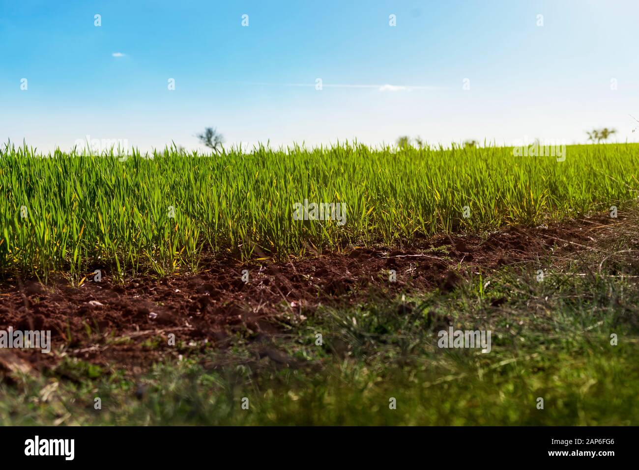 Soil cross section and grass hi-res stock photography and images - Alamy
