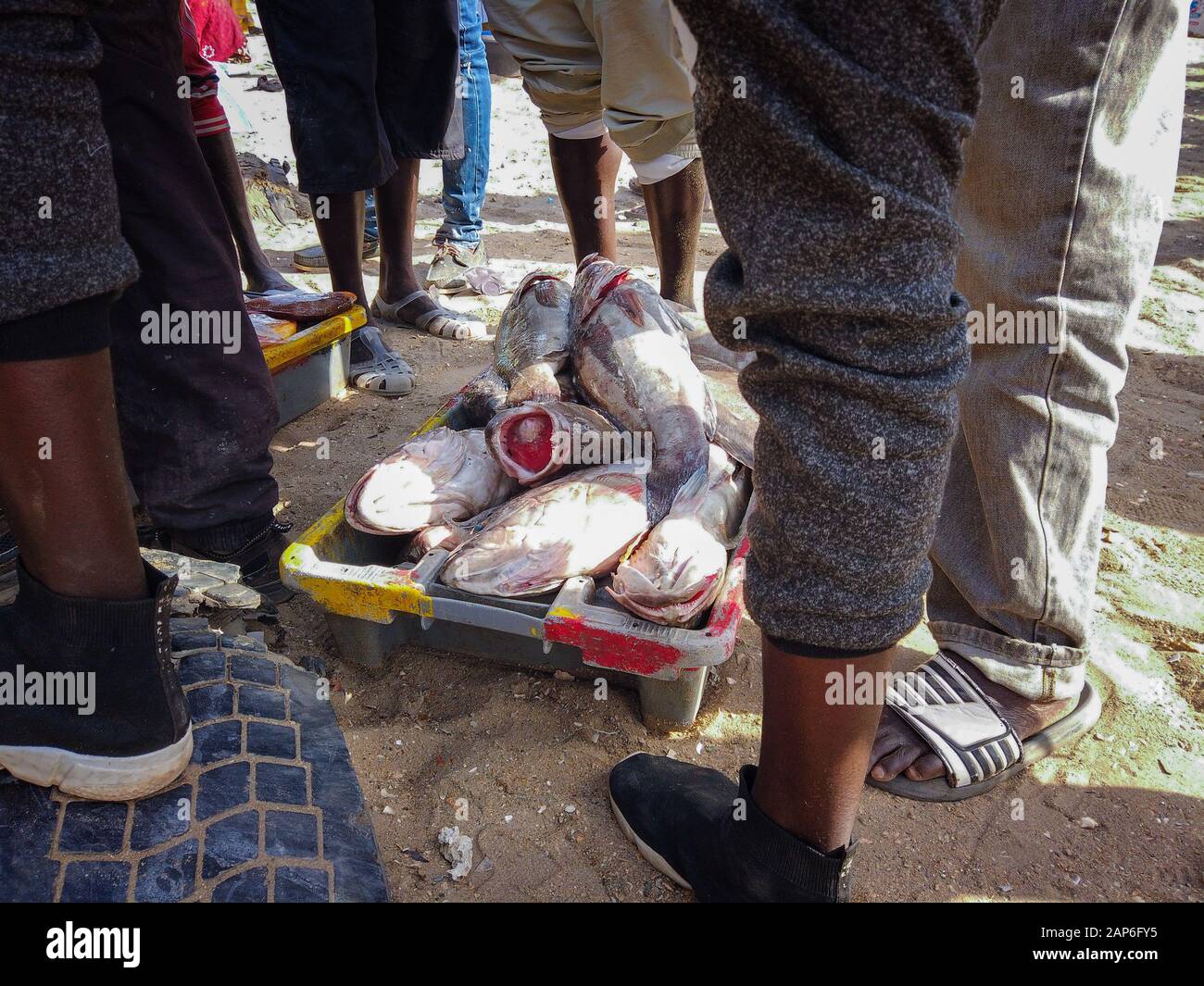 Fresh fishes are in a box on the ground in the sand. There are people around who want to buy them at a fish market in Mbour, Senegal. It's near Dakar Stock Photo