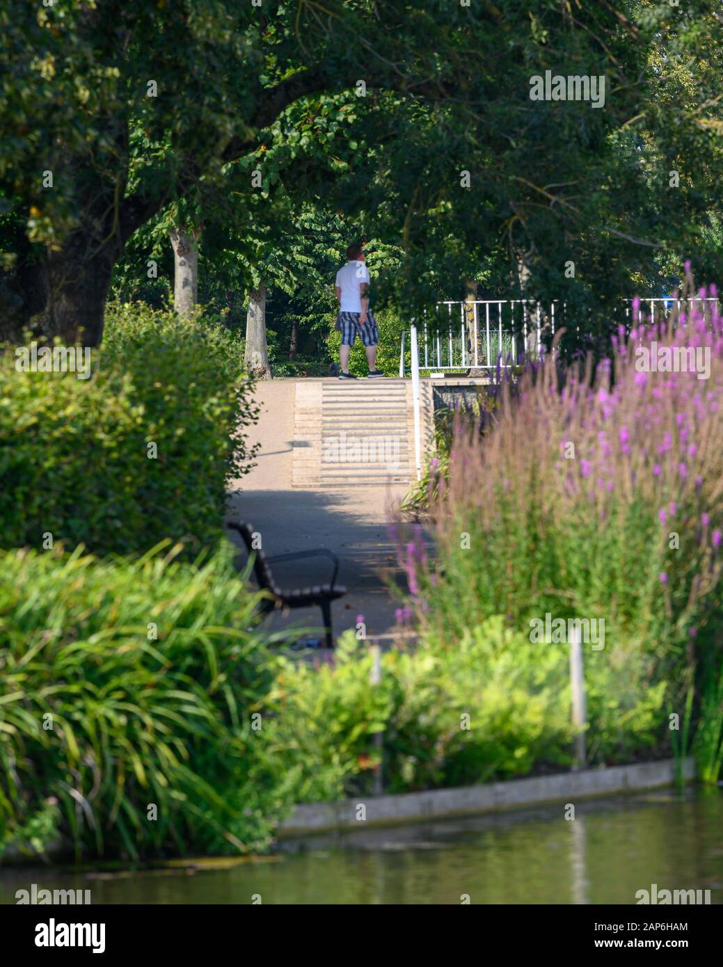 Jellicoe water garden hires stock photography and images Alamy