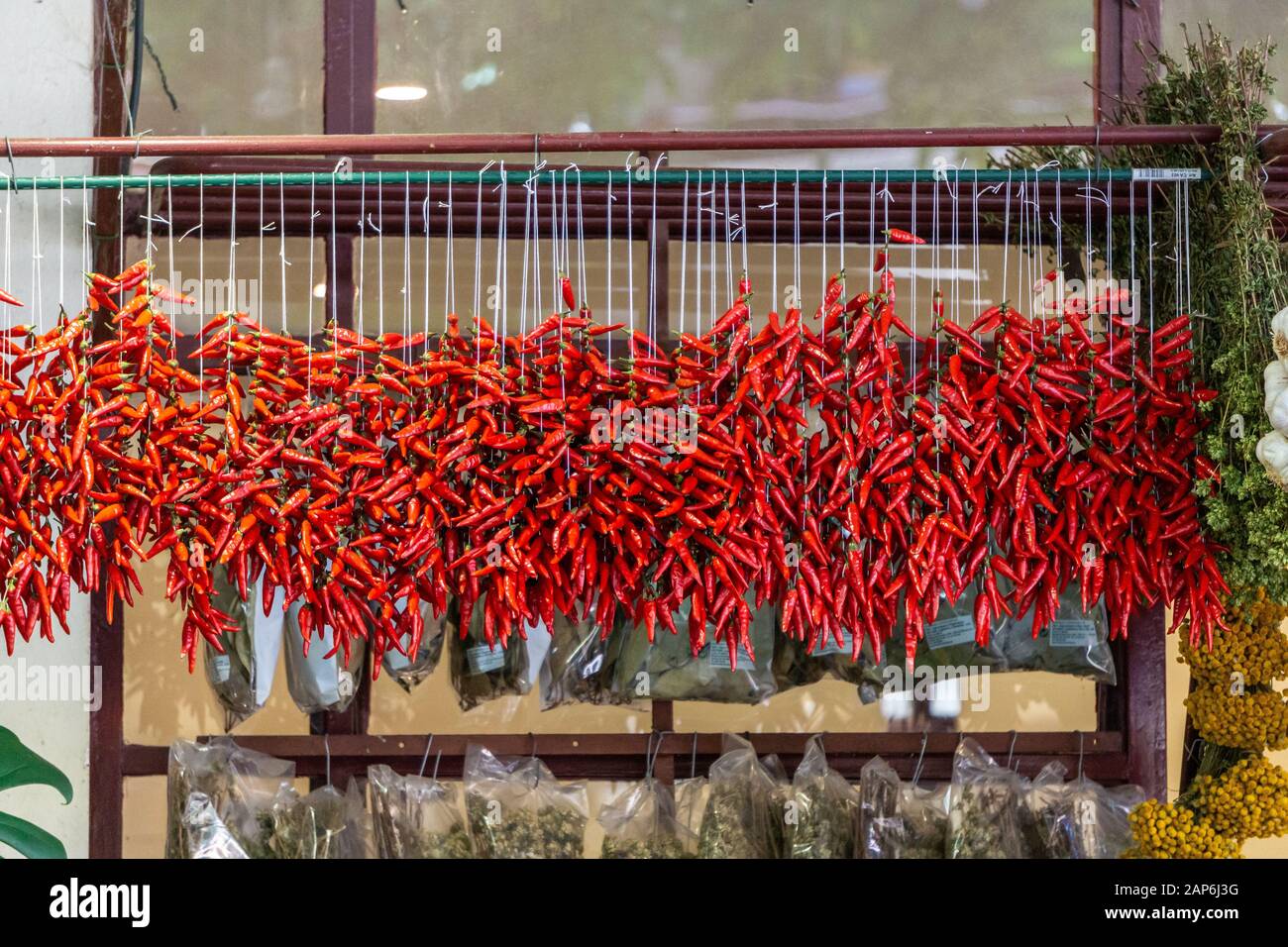 Red chili pepper chain hanging to dry in a market place Stock Photo Alamy