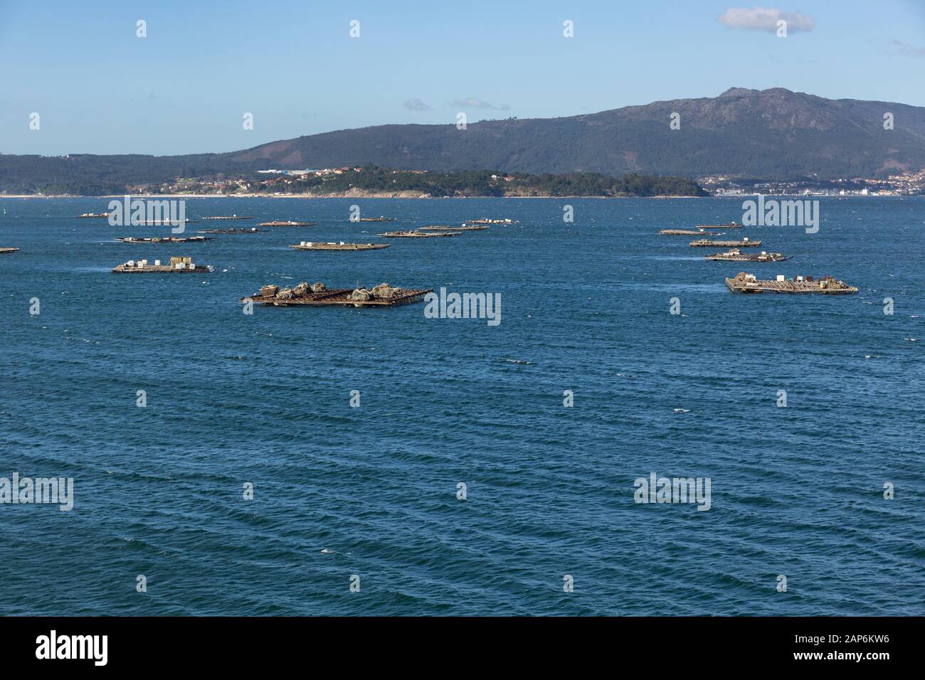 Landscape of the Ria de Arousa with numerous platforms for the