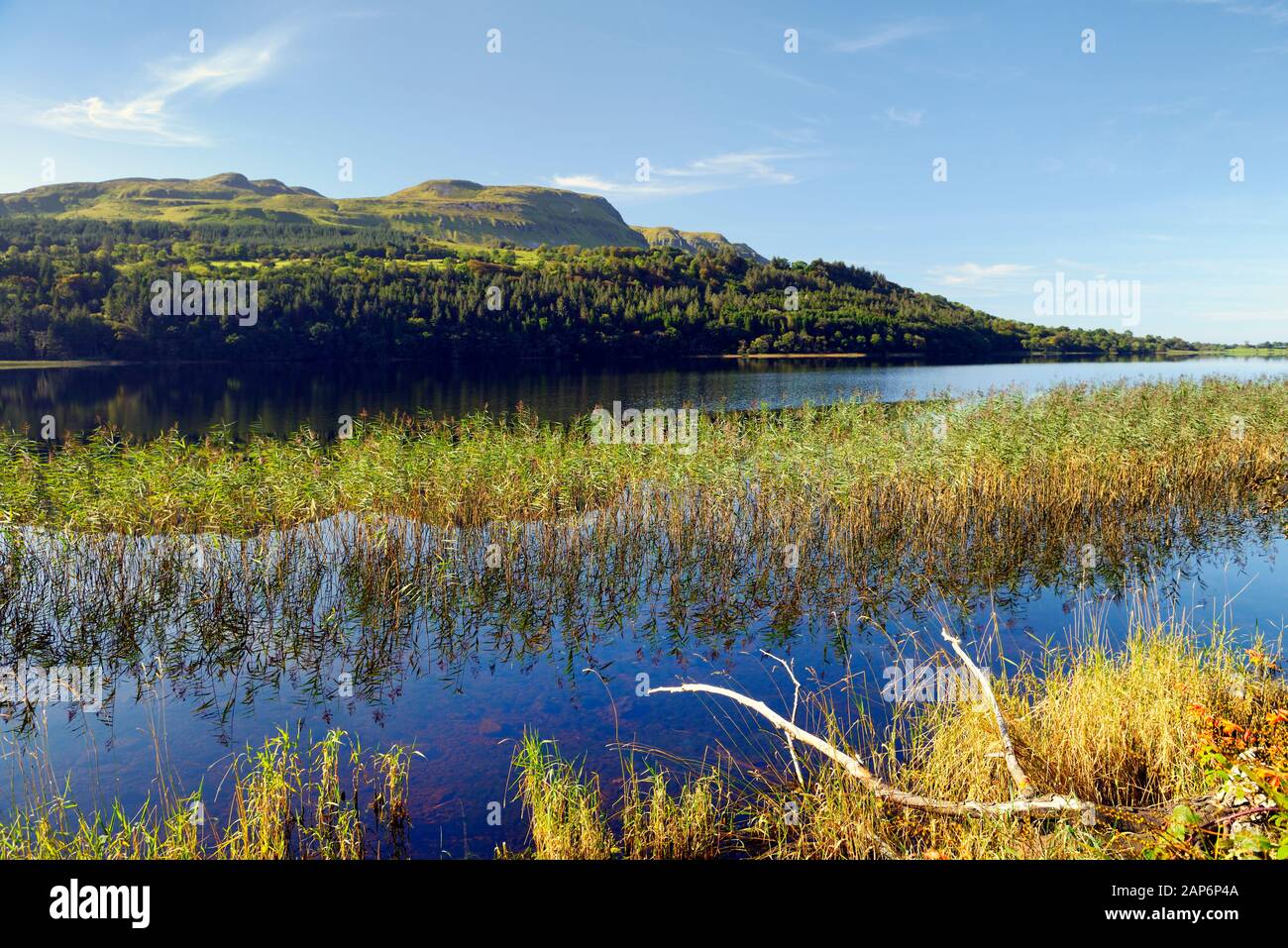 Glencar Lough S.E. of Benbulbin, Co. Sligo, Ireland. Looking southwest to Copes Mountain through reeds on north shore. Late summer. Yeats Country Stock Photo