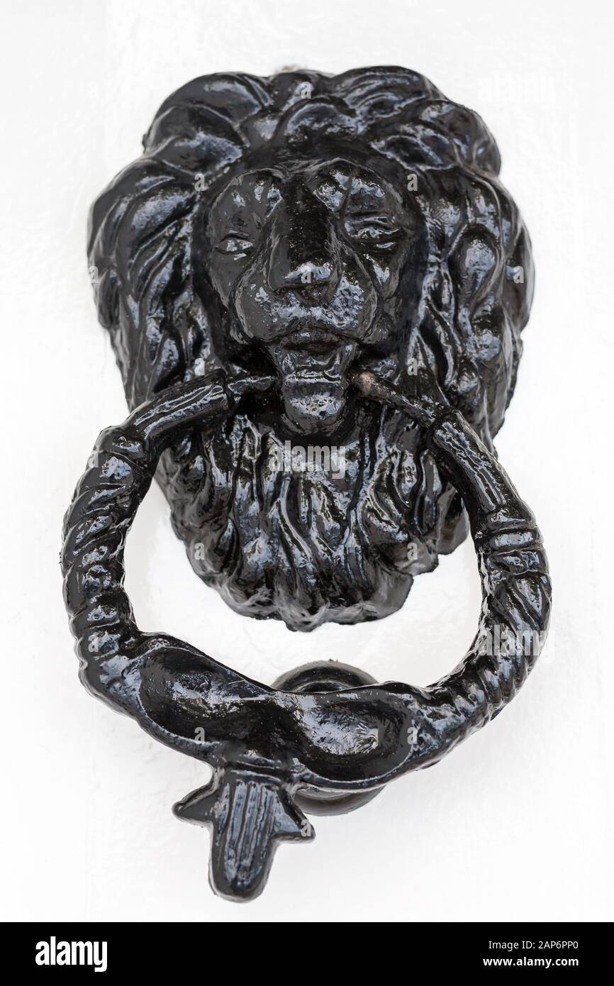 Vintage Copper Lion door knob Stock Photo