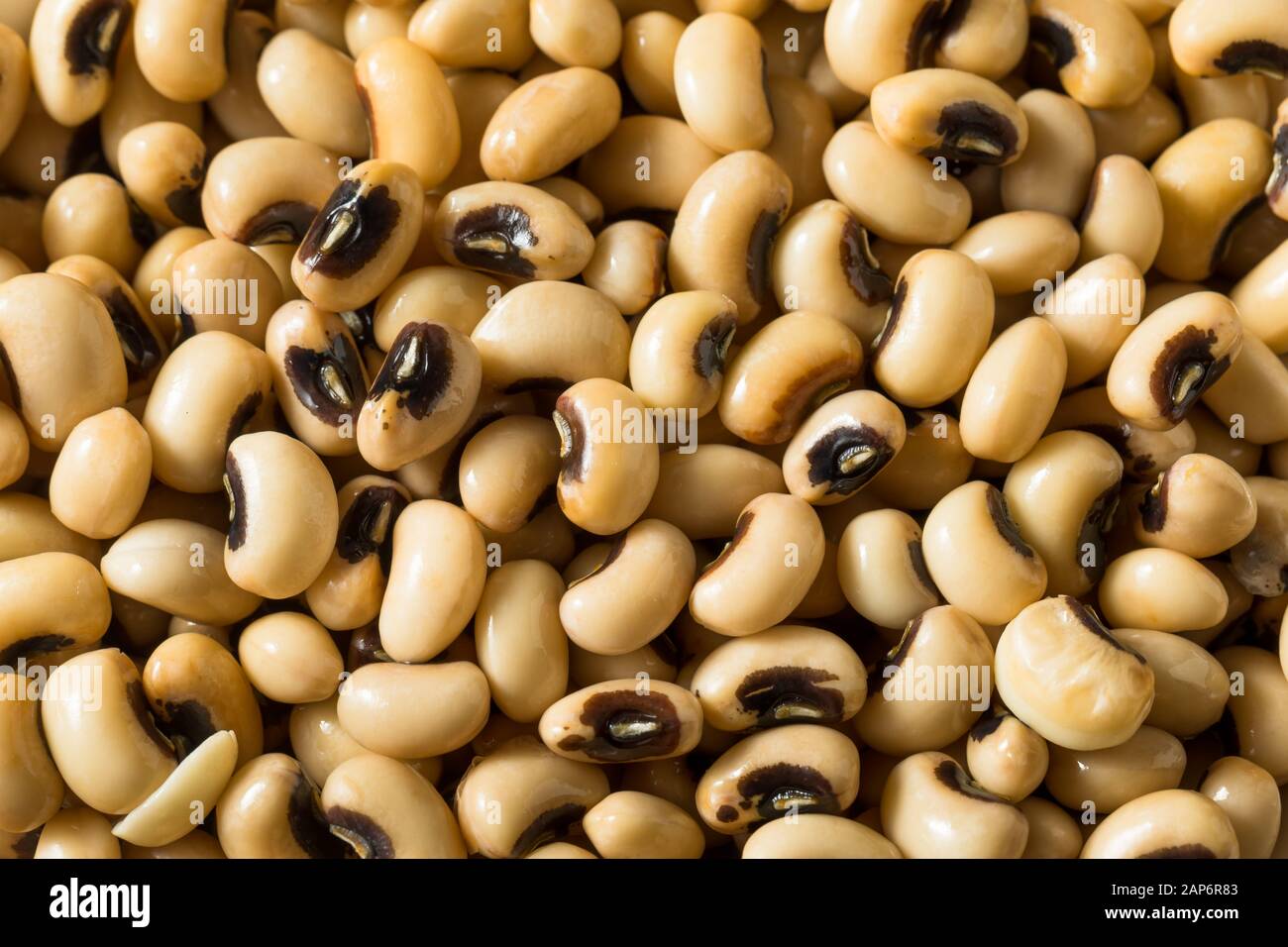 Raw Organic Black Eyed Peas in a Bowl Stock Photo Alamy