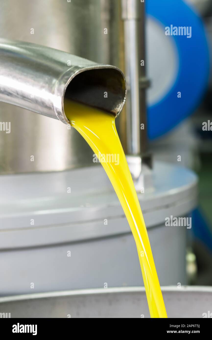Ecological extra virgin olive oil production with modern technology