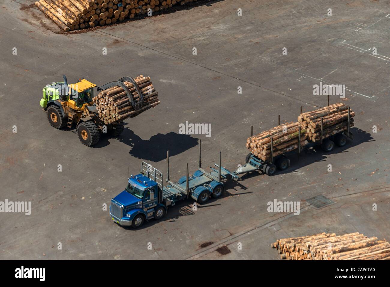 Freshly sawn logs being unloaded from a truck at a port for shipping overseas. Stock Photo