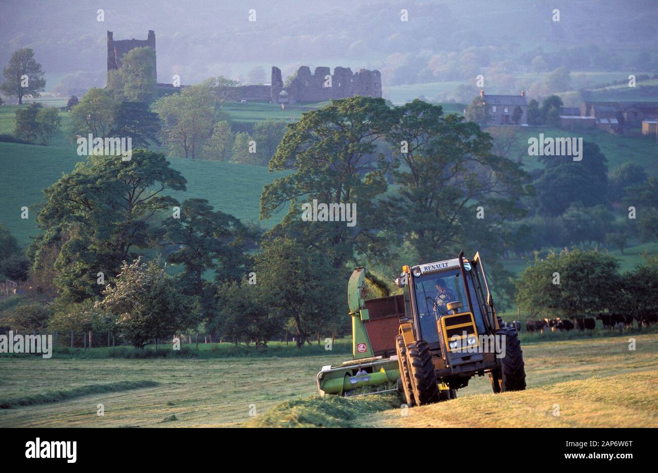 Farmer silaging a meadow using a towed chopper, with Brough Castle in the background. Cumbria, UK. Stock Photo