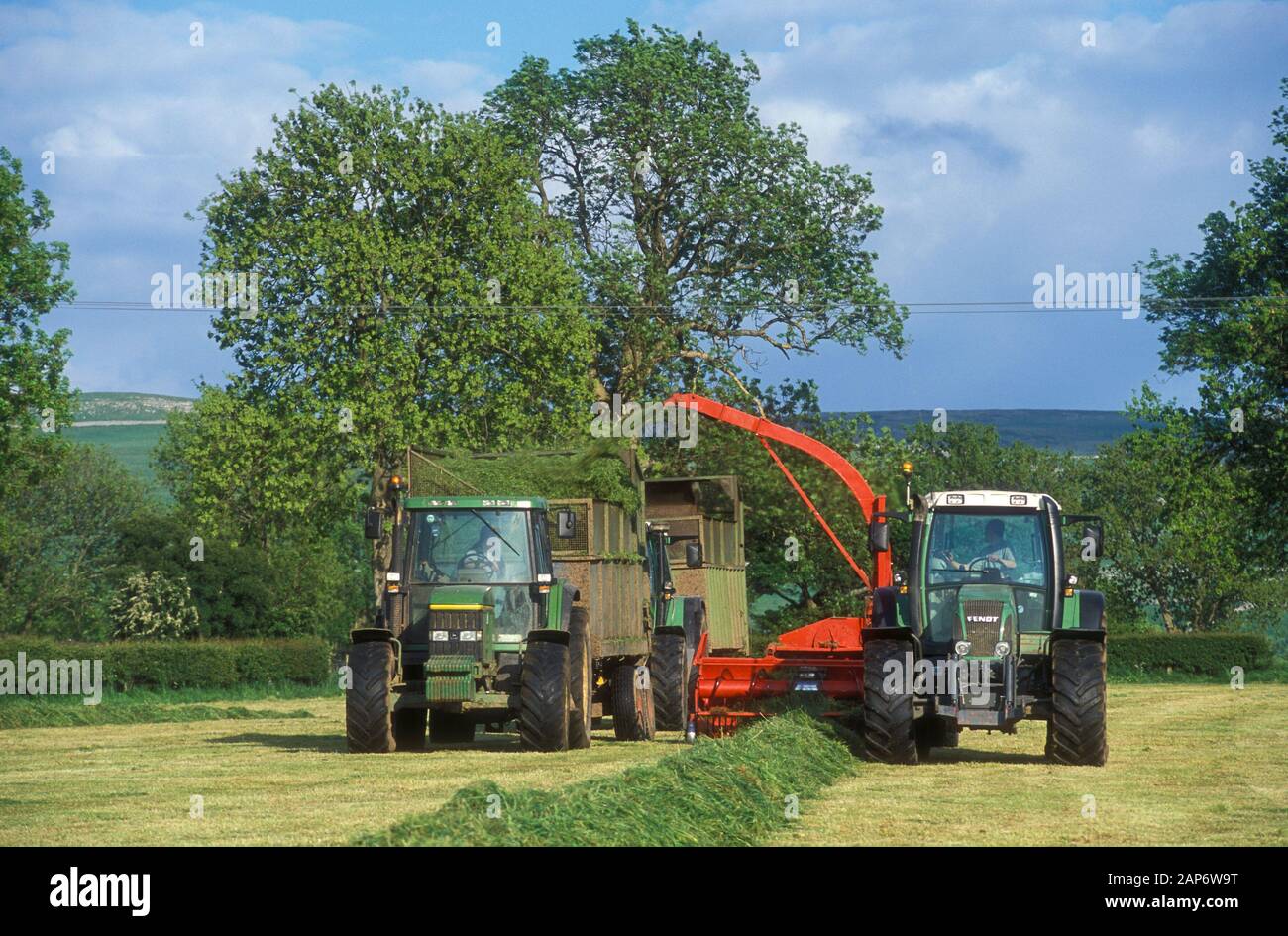 Silaging grass with a chopper and tractor with trailer collecting it. Cumbria, UK. Stock Photo
