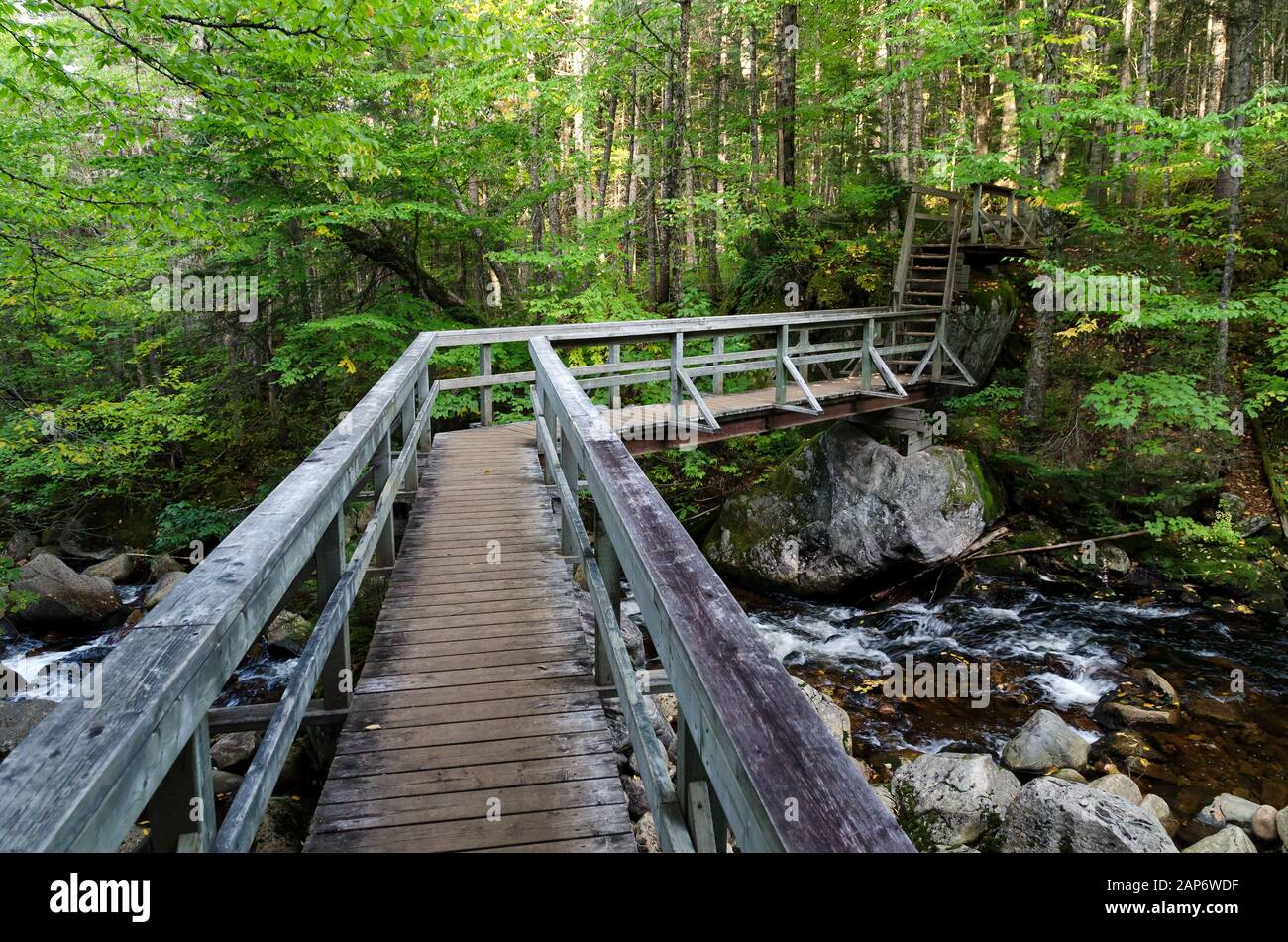 Wooden footbridge in the Parc National de la Jacques-Cartier, Quebec (Canada). Stock Photo